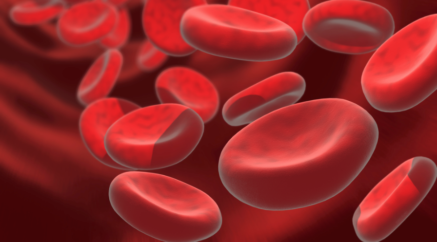 Grafika komputerowa przedstawia płaskie okrągłe czerwone krwinki.